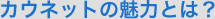 �J�E�l�b�g�̖��͂Ƃ́H